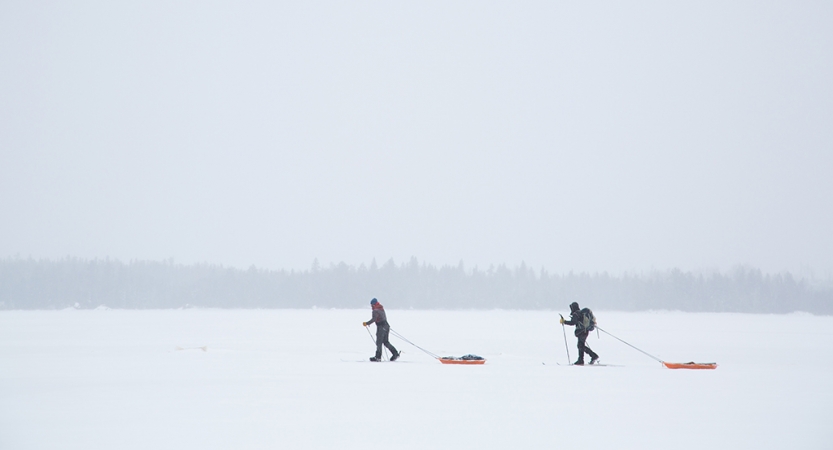 two cross country skiers pull small sleds behind them as they make their way across a vast snowy landscape. it appears to be snowing, as the line of trees in the background are whitened. 